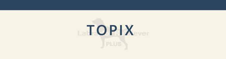 TOPIX